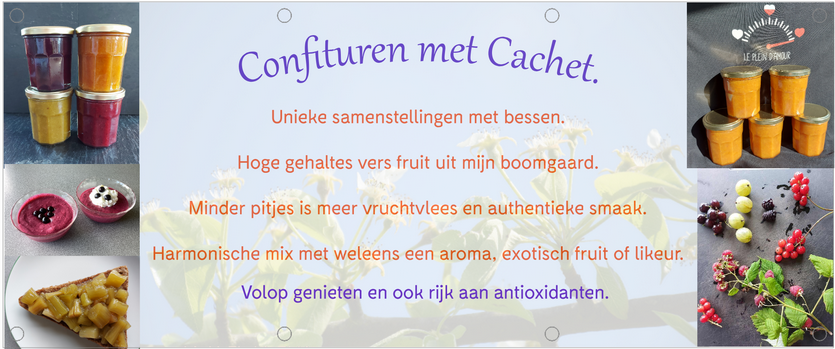 Flyer-1